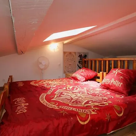 Harry Potter - Le Logis Du Petit Sorcier - Clim アパート カルカソンヌ